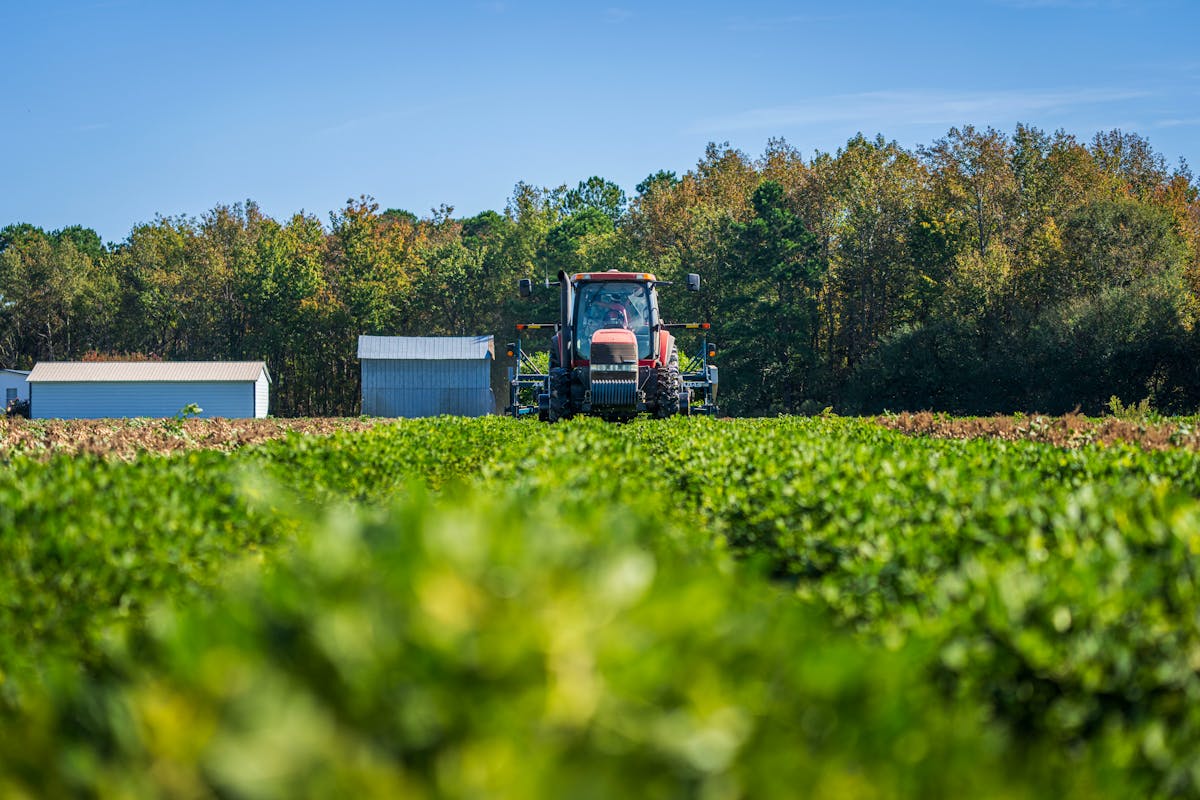 Tractor working a green crop field — the farm equipment JSD repairs on-site across the Fraser Valley.